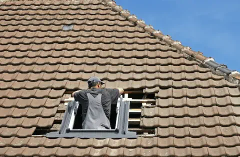 Pose de velux - Palisse